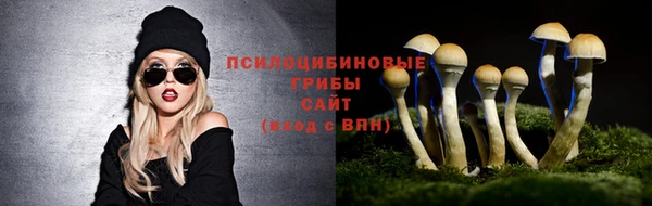 Альфа ПВП Богданович