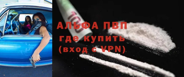 спиды Богородск