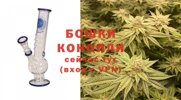 спиды Богородск
