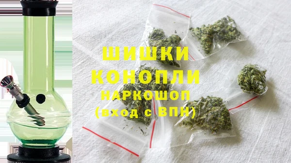 спиды Богородск