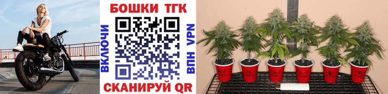 Купить закладки  Анадырь  Марихуана гибрид 